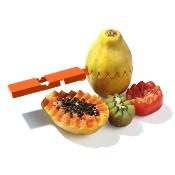 Un épluche légumes original + un éplucheur julienne + mini râpe- 3 pièces