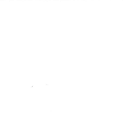 SERVIETTE DE BAIN  30X50CM  