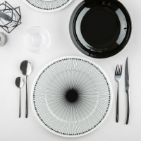 assiette blanche et noire